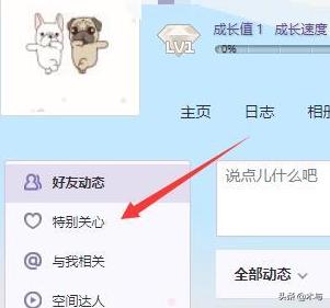 qq特别关心查询（qq特别关心查询入口）
