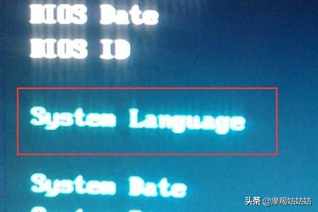 bios怎么设置成中文（bios怎样改成中文）