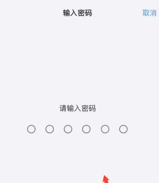 苹果更新系统（苹果更新系统会越来越卡吗）
