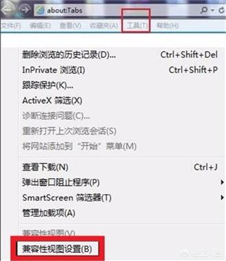 添加兼容性视图设置在哪里（兼容怎么添加）