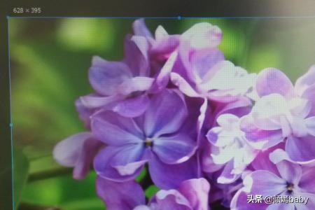 win10局部截图快捷键（windows10局部截图快捷键）