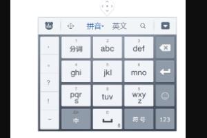 百度输入法定制版(百度输入法定制版怎么删除)